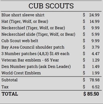 Cub Scout Uniform – Scouting 141